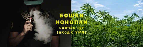 твердый Аркадак