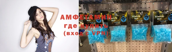 твердый Аркадак