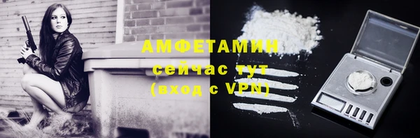 твердый Аркадак