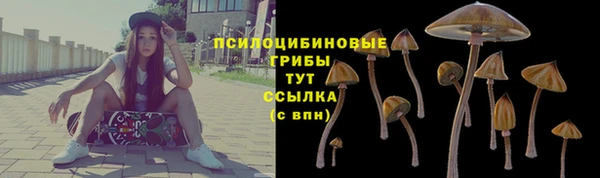 твердый Аркадак