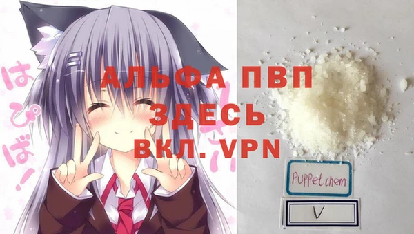 твердый Аркадак